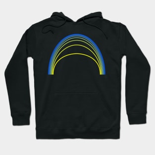 Ukrainian twigs Hoodie